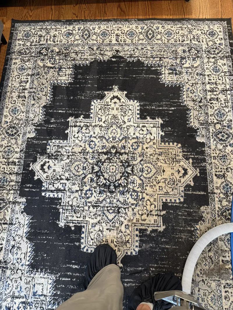 Synthetic medallion rug with clumps of pet hair pulled up during on-site cleaning, with extraction hose and wand