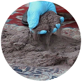 rug-cleaning-dustiing dusting of oriental rugs